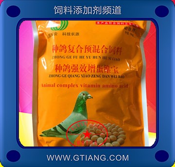 種鴿強(qiáng)效增蛋維寶-金源種鴿強(qiáng)效增蛋維寶