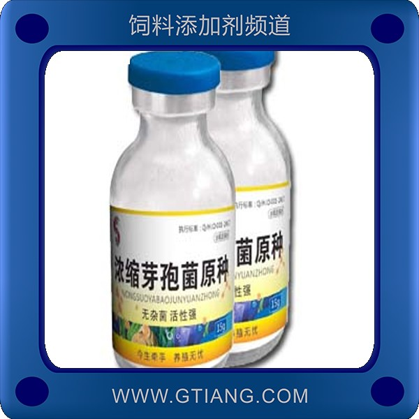 賽美騰濃縮芽孢桿菌原種 抑制有害有害浮游生物的繁殖生長(zhǎng)